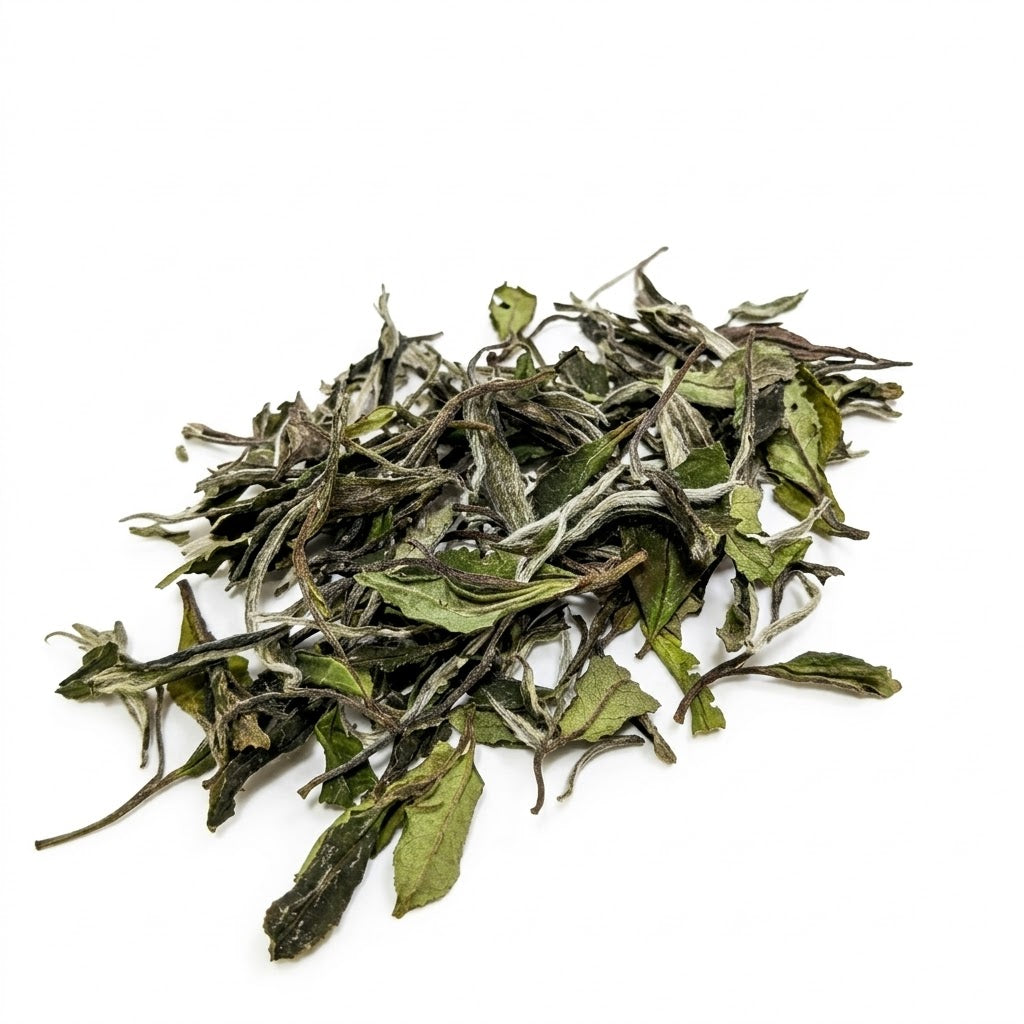 Fuding White Peony Tea